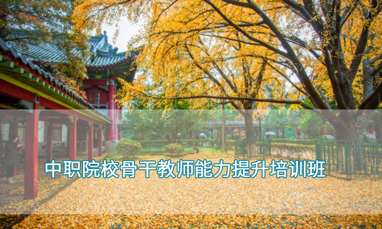 中职教师培训-南京师范大学中职院校骨干教师能力提升培训班