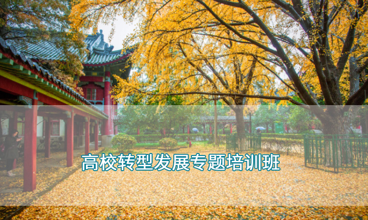 高校教师培训-南京大学高校转型发展专题培训班