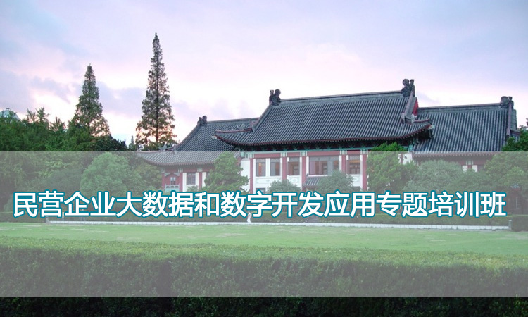 南京师范大学培训中心-民营企业大数据和数字开发应用专题培训班