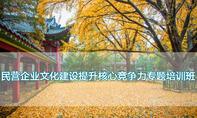 南京师范大学培训中心-民营企业文化建设提升核心竞争力专题培训班