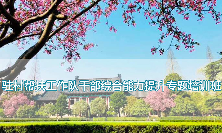 南京师范大学培训中心-驻村帮扶工作队干部综合能力提升专题培训班